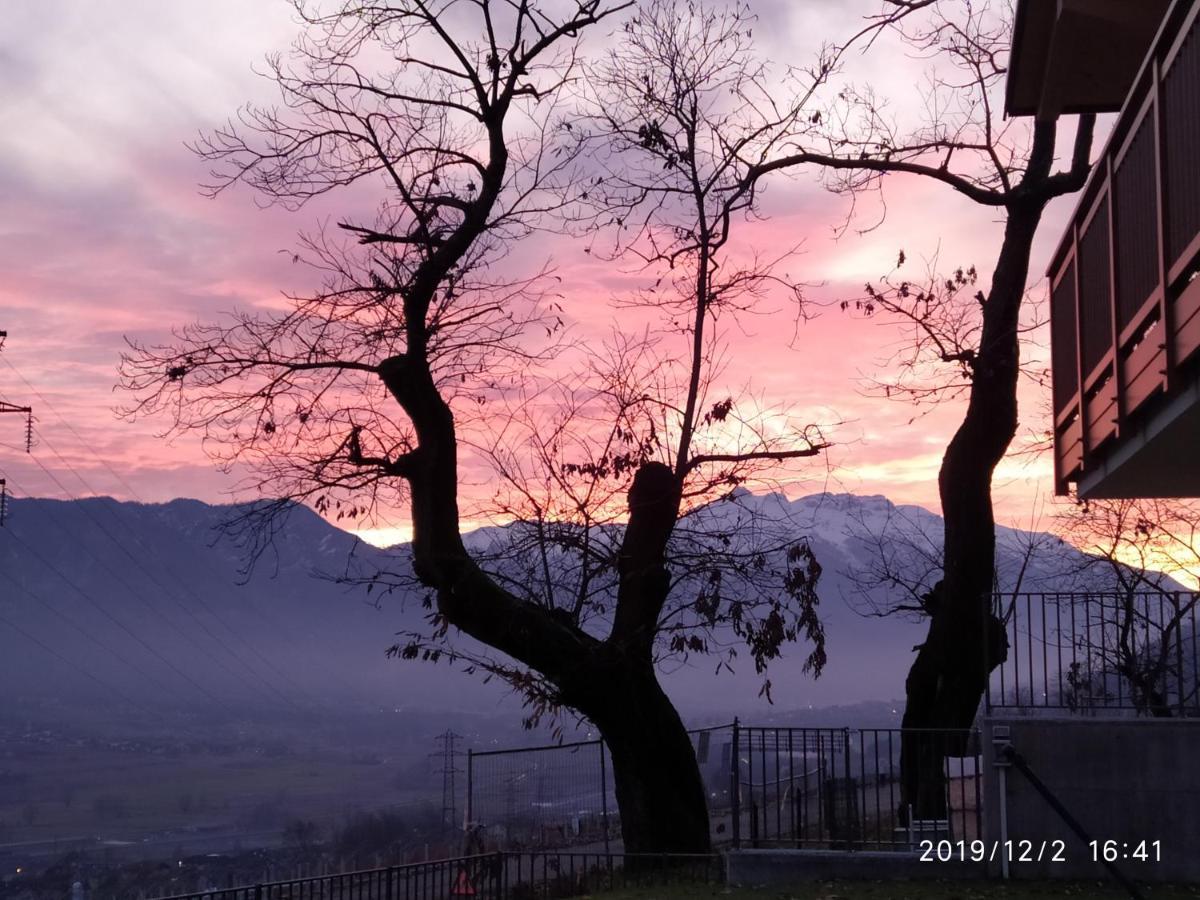 Il Riccio Del Castagno Apartment Novaledo Luaran gambar