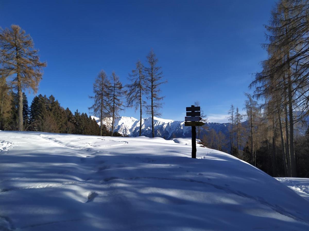 Il Riccio Del Castagno Apartment Novaledo Luaran gambar
