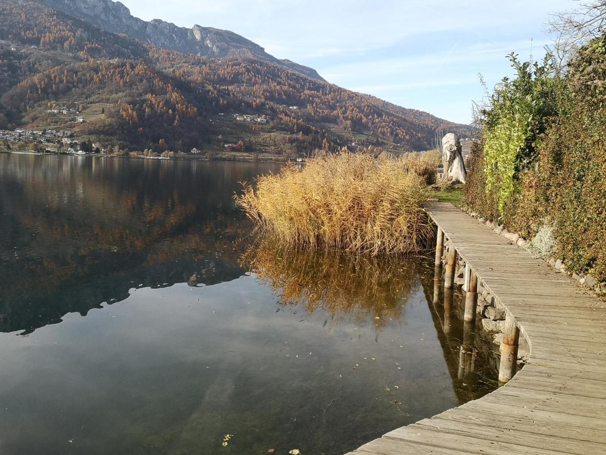 Il Riccio Del Castagno Apartment Novaledo Luaran gambar