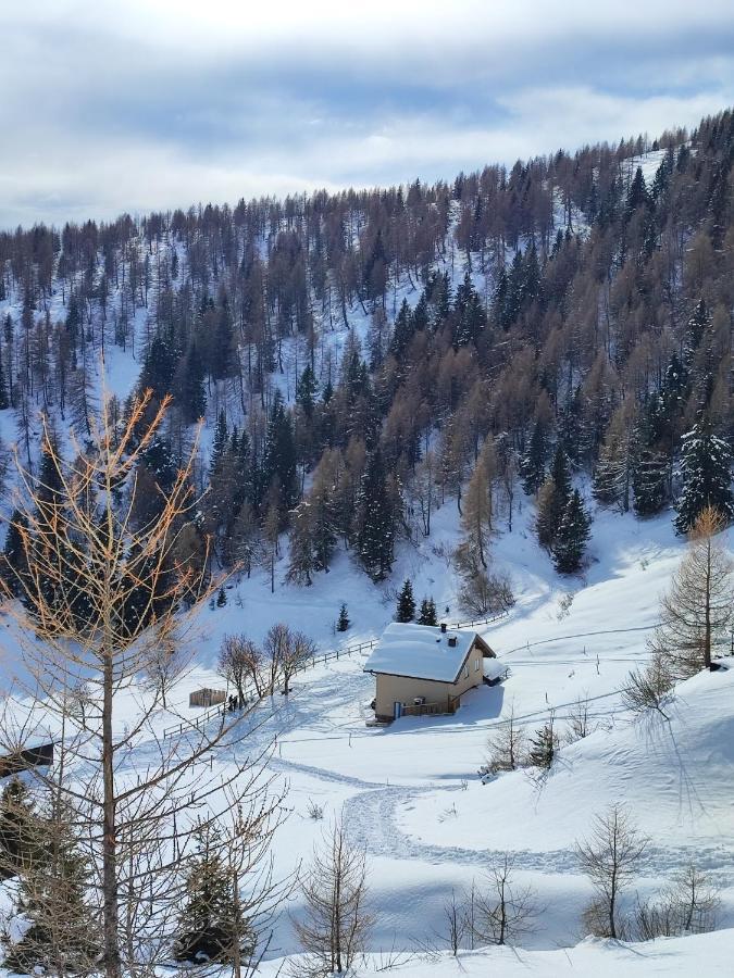 Il Riccio Del Castagno Apartment Novaledo Luaran gambar